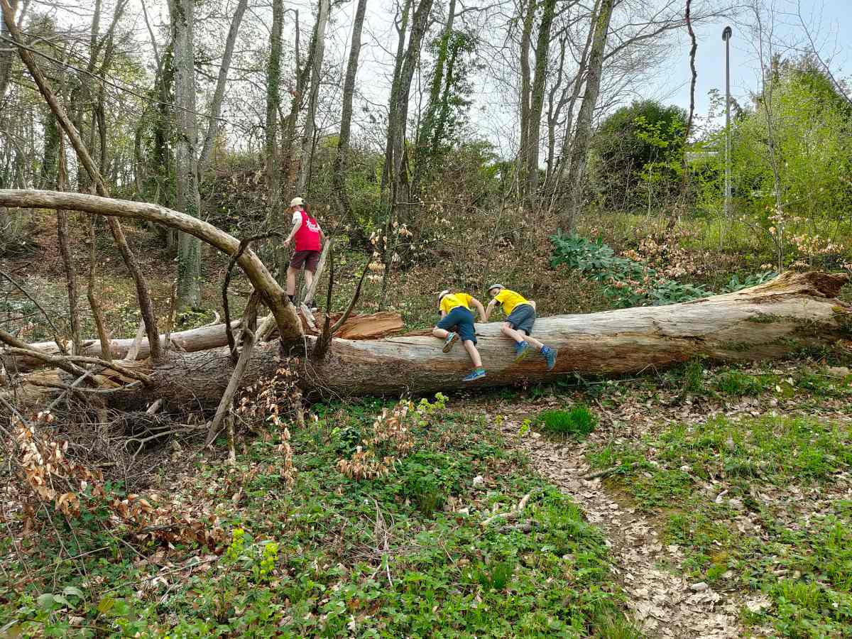 Etappe 19, Teil&nbsp;1